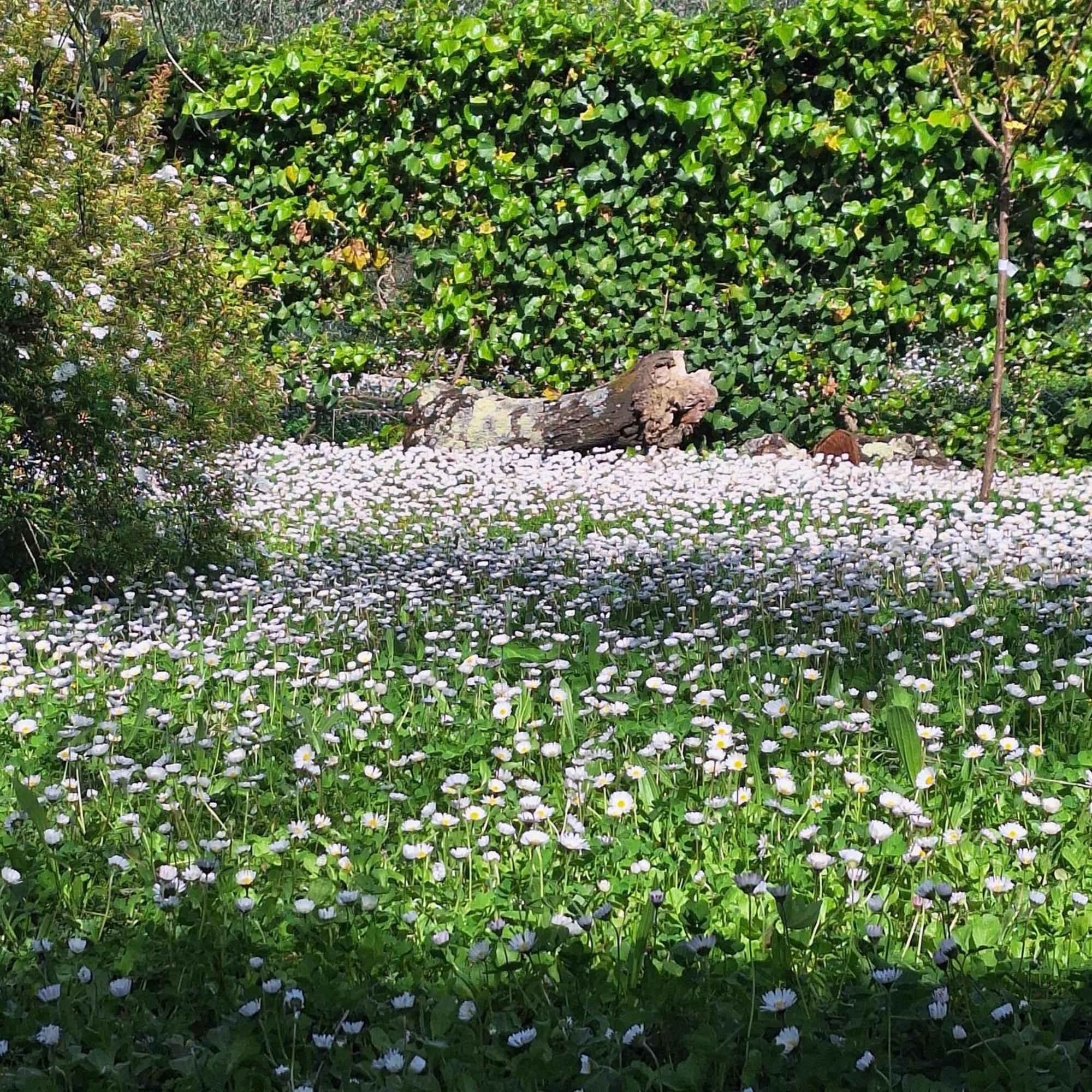 Dimora Nel Chianti Guest House San Sano Luaran gambar