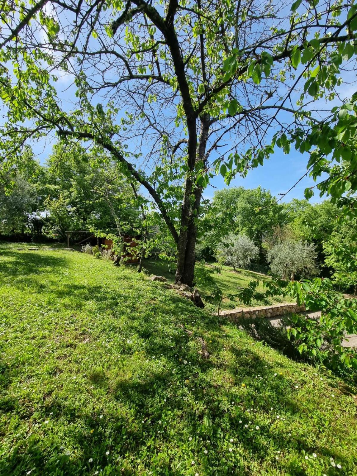 Dimora Nel Chianti Guest House San Sano Luaran gambar